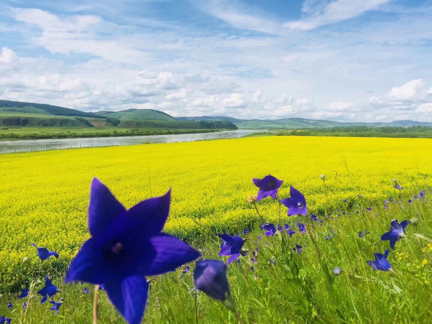 草原